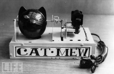 aptal-icat27.jpg