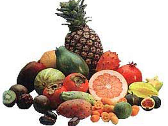 B vitamini Alzheimer'i geciktiriyor