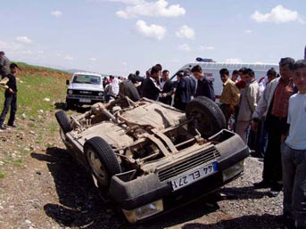 cil25.jpg