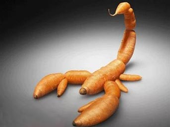 GDO'lu ürünlere dikkat!