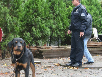Kapkaççı köpek dehşeti