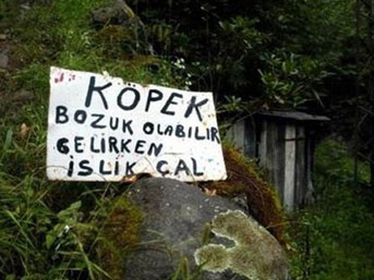 Köpek için uyarı