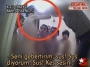Bu fotoğraflar hiç unutulmadı