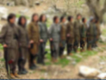 Terör Örgütü Pkk Haberleri,Pkk Haberi,Terör Örgütleri Haberleri