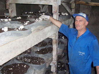 Bir rüya gördü hayatı değişti