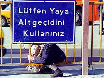 Bu fotoğrafların hepsi ödüllü