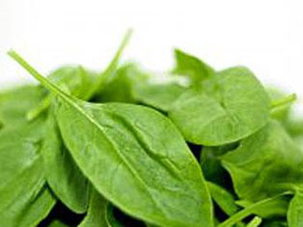 yesil.jpg