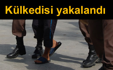 H�rs�z k�lkedisi gibi yakaland�