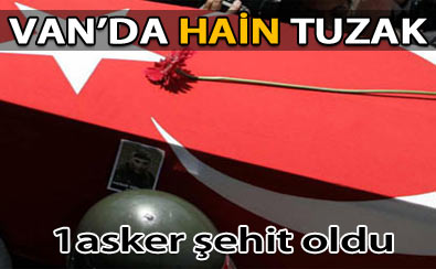 [Resim: van-mayin.jpg]