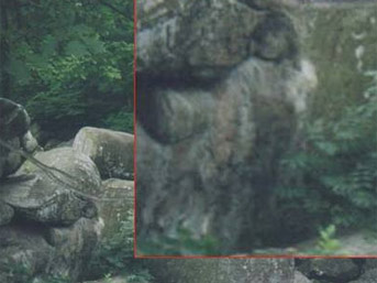 h22.jpg