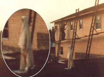 h41.jpg