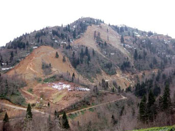 hes-rize2.jpg