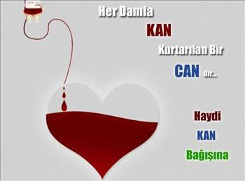 kan-verme15.jpg