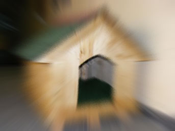Köpek kulübesinde ''Atatürk silüeti'