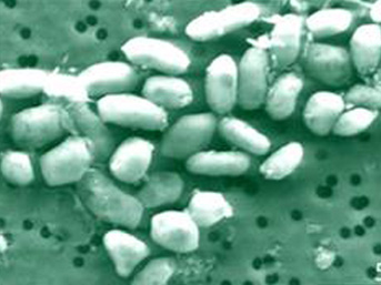 NASA, dünyanın beklediği açıklamayı yaptı