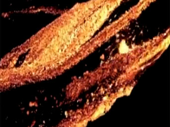 İşte dehşet nehrinin görüntüleri