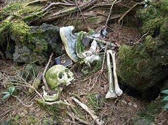 İntihar ormanı: "Aokigahara