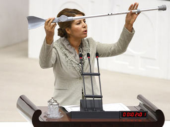 Yılın parlamento olayları