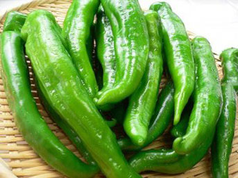 samandag-biberi.jpg