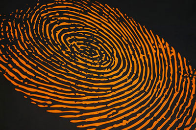 [Resim: ss-ger11.jpg]