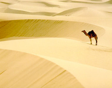 [Resim: ss-ger26.jpg]