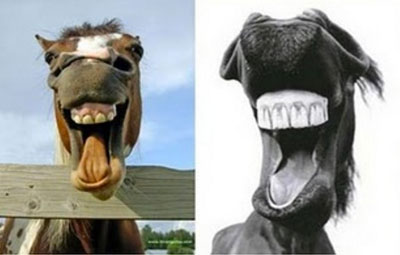 [Resim: ss-ger8.jpg]