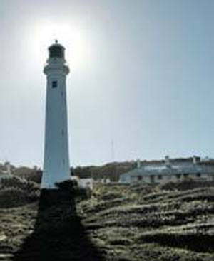 8) Point Hicks Deniz Feneri (Avustralya)