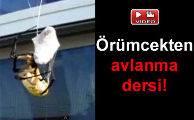 Wideo