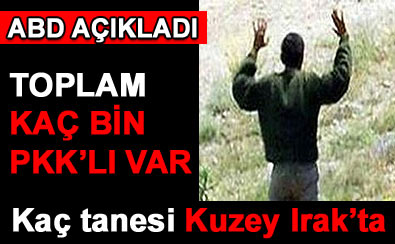ABD aıkladı: Ka bin PKK'lı var?