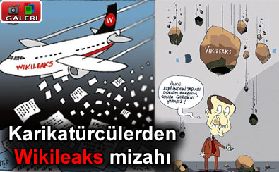 Wikileaks mizahi