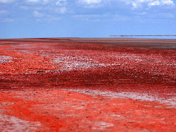 Kırmızı Tuz Gölü'nün sırrı açıklandı