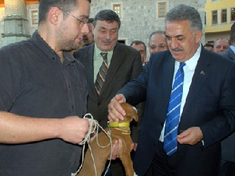 Karadenizliler kılıbıktır