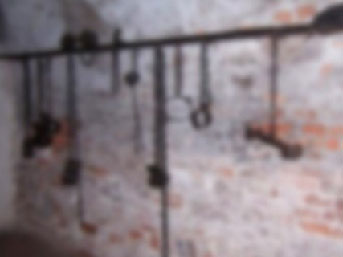 Dernek değil işkence evi!