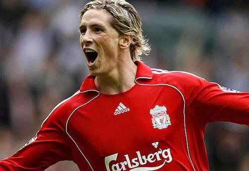 fernando-torres-31736_501.jpg