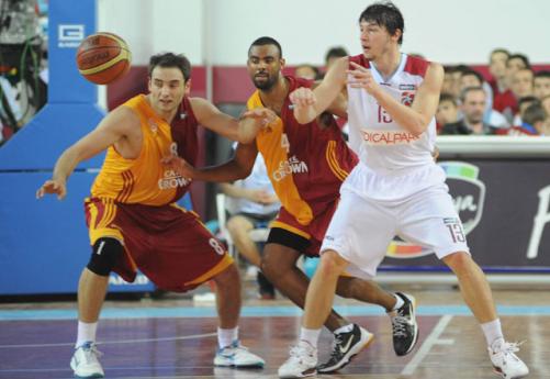 ts-gs-basket-28764_501.jpg