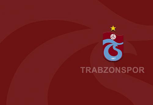 ts-logo-33313_501.jpg